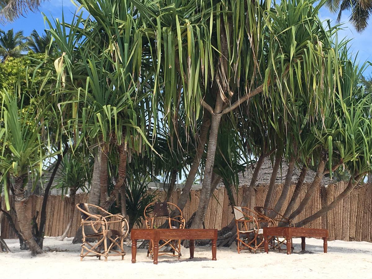 Emma Bay Beach House Michamvi Buitenkant foto